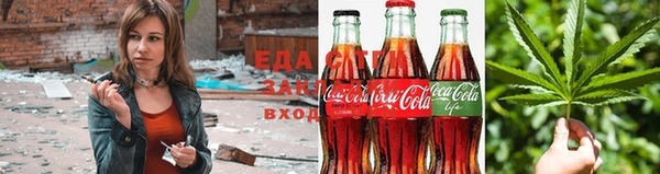 ПСИЛОЦИБИНОВЫЕ ГРИБЫ Абаза