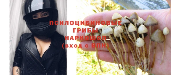 ПСИЛОЦИБИНОВЫЕ ГРИБЫ Абаза