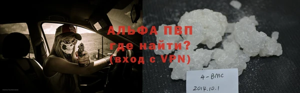 ПСИЛОЦИБИНОВЫЕ ГРИБЫ Абаза