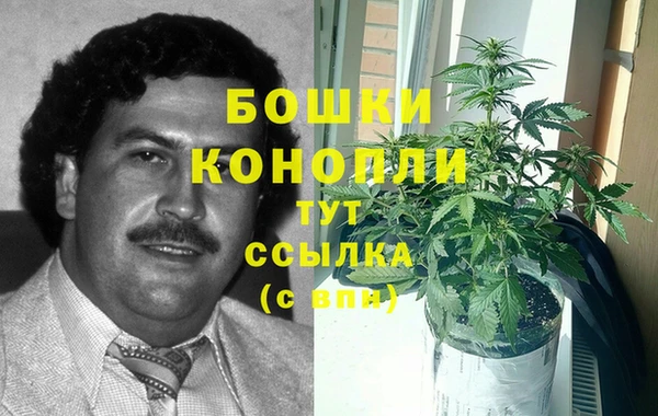 ПСИЛОЦИБИНОВЫЕ ГРИБЫ Абаза