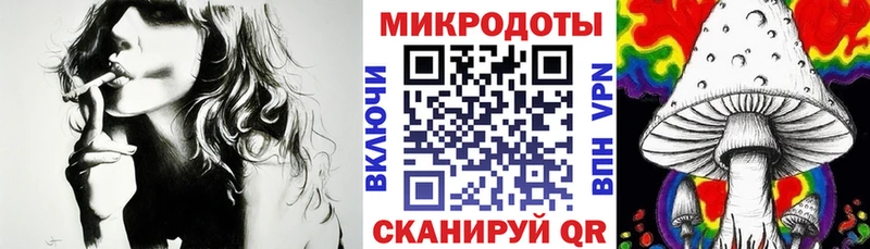 Галлюциногенные грибы Psilocybine cubensis  Балаково 